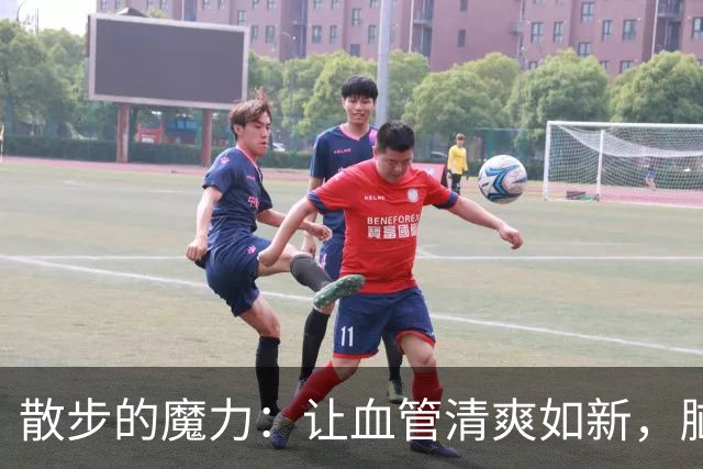 散步的魔力：让血管清爽如新，脑梗患者的秘密武器！